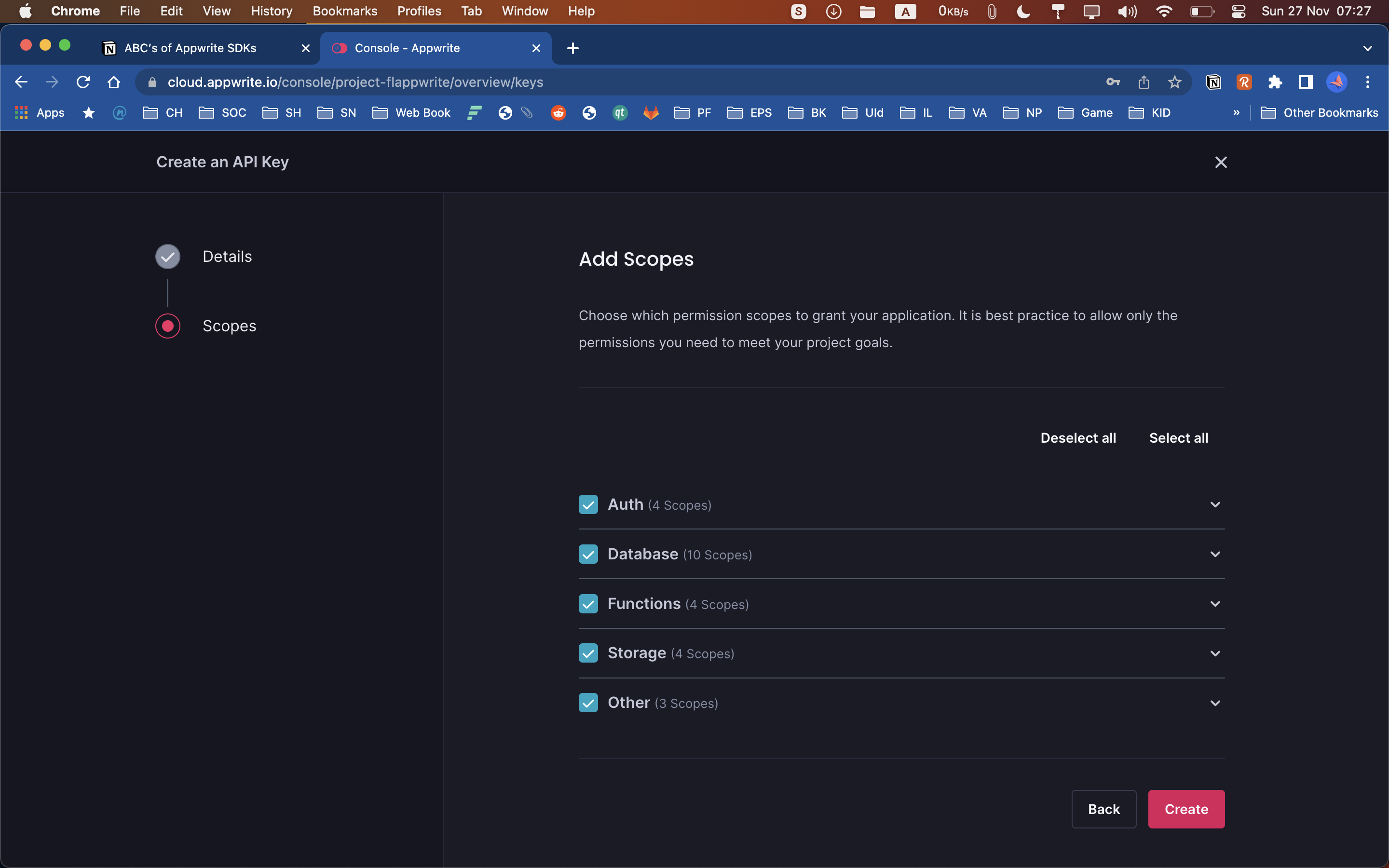 API Key Scope